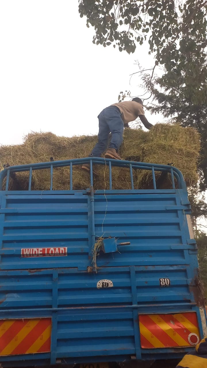 Farm Operations